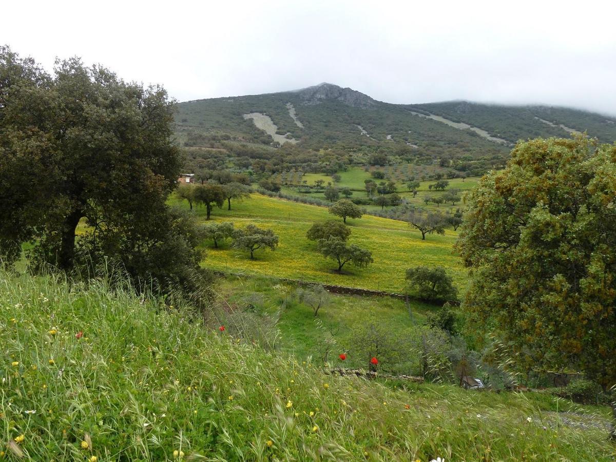 Casa Rural La Colmena Del Geoparque Navatrasierra Luaran gambar