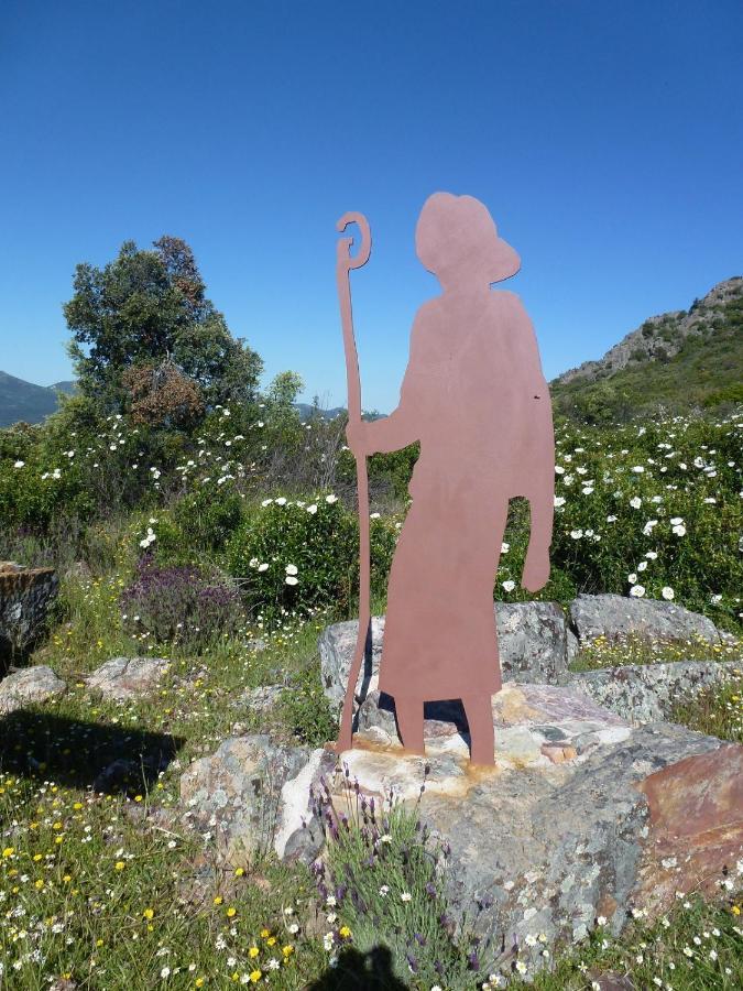 Casa Rural La Colmena Del Geoparque Navatrasierra Luaran gambar