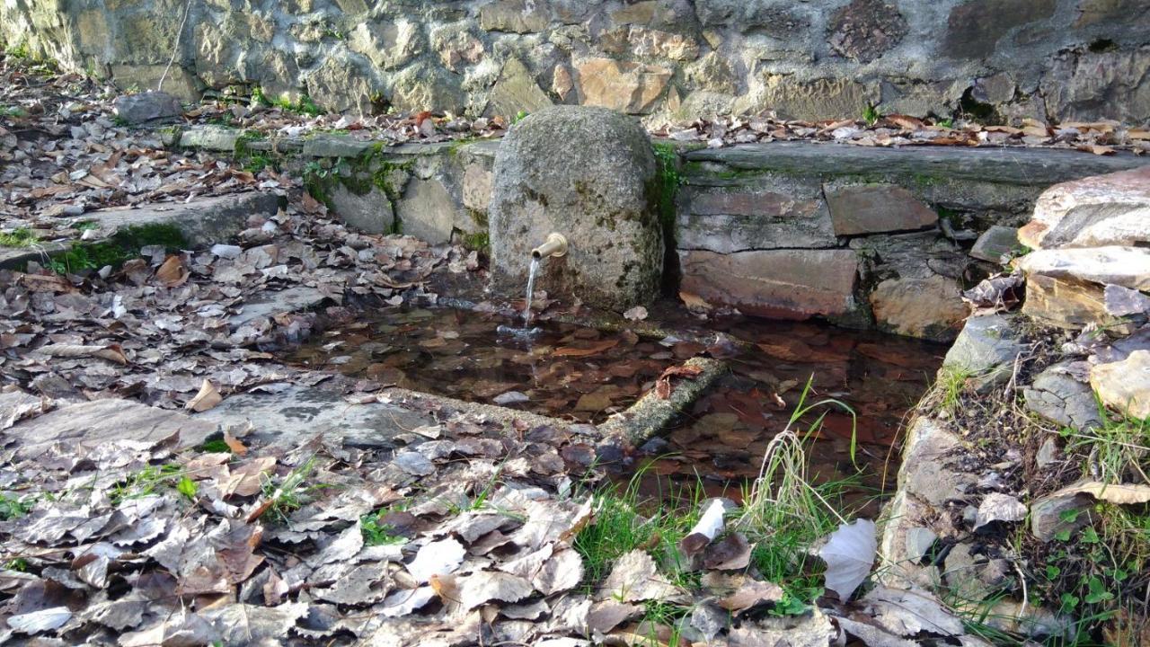 Casa Rural La Colmena Del Geoparque Navatrasierra Luaran gambar