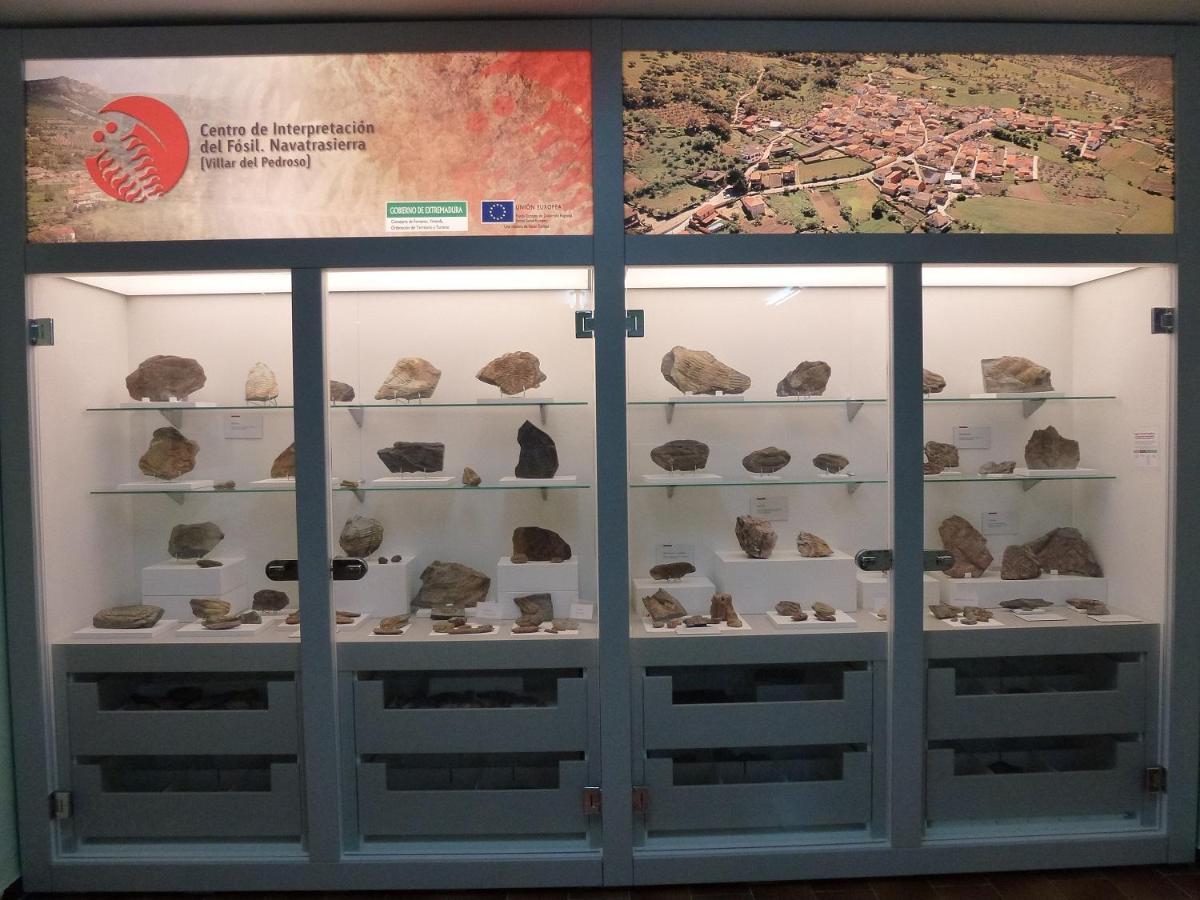 Casa Rural La Colmena Del Geoparque Navatrasierra Luaran gambar